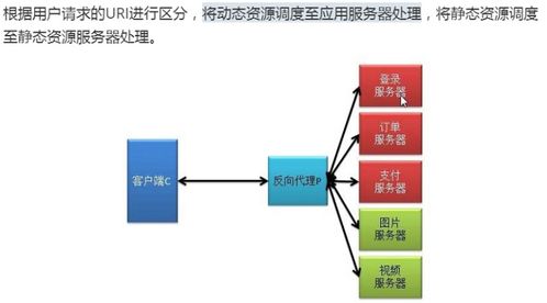 ngxin代理服務(wù)基本概述