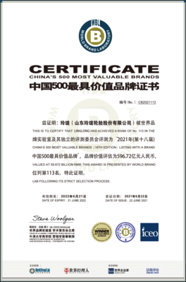 我市兩品牌榮登2021年“中國(guó)500最具價(jià)值品牌”榜單，節(jié)能環(huán)保技術(shù)開(kāi)發(fā)成亮點(diǎn)